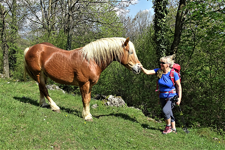 Monte Cancervo ad anello dalla Pianca sui sentieri CAI 102-130-131 il 1 maggio 2019 - FOTOGALLERY